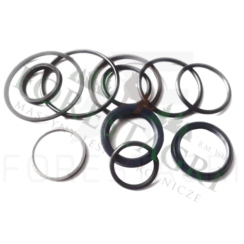 Zestaw uszczelnień, Tarpiklių rinkinys, Sada těsnění,  Dichtungssatz, Seal kit, F049682