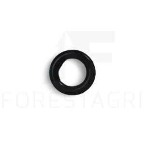 O-ring – F005569
