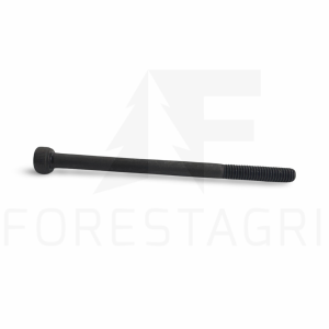 Varžtas - F018811
