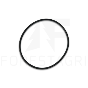 O-žiedas - F025162 (atsarginė dalis)