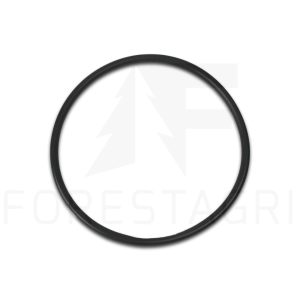 O-žiedas – F025375 (atsarginė dalis)