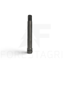 Raktas - F046592