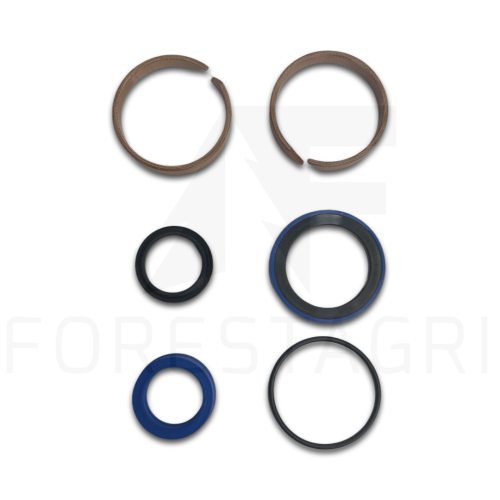 Zestaw uszczelnień, Sandariklių rinkinys, Sada těsnění, Dichtungsset, Seal kit, F047909