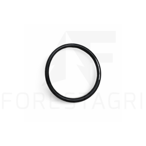 O-žiedas – F047913 (atsarginė dalis)