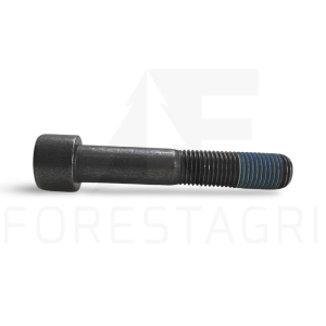 Varžtas - F054485