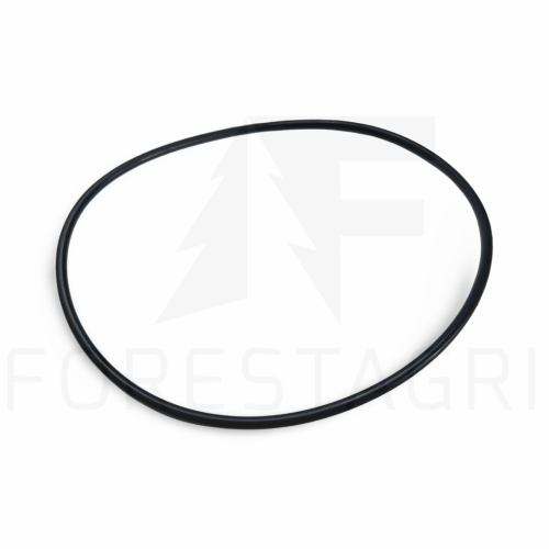 O-RING - F056056