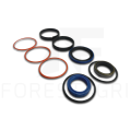 Zestaw uszczelnień, Sandariklių rinkinys, Sada těsnění, Dichtungssatz, Seal kit , F063040