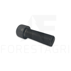 Varžtas - F063067 (atsarginė dalis)