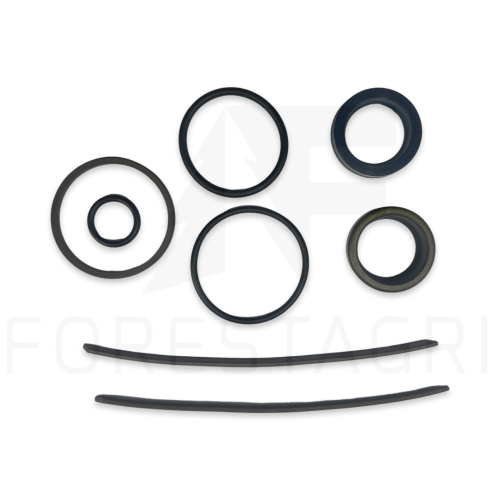 Zestaw uszczelnień, Sandariklių rinkinys, Sada těsnění, Dichtungssatz, Seal kit, F064048