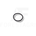 O-RING - F004565