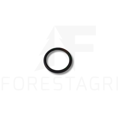 O-RING - F021607