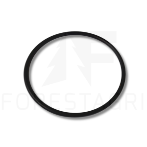 O-žiedas – F025375
