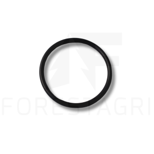 O-žiedas - F005484 (T34248)