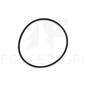O-ring – F010631, r41987 (atsarginė dalis)