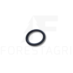 O-žiedas - F030972, F004568