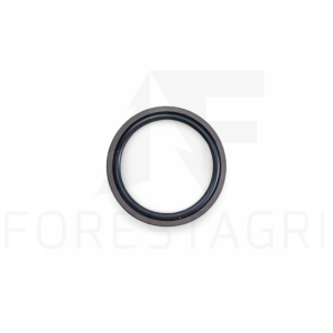 O-žiedas - F064597 z (F072102)