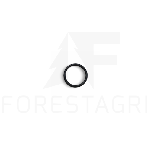 O-ring - F021605
