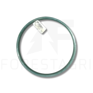 Prancūzis - F073432