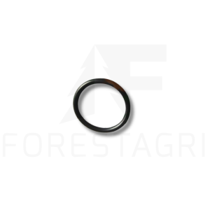 O formos žiedas – F716210, F065380, F018824