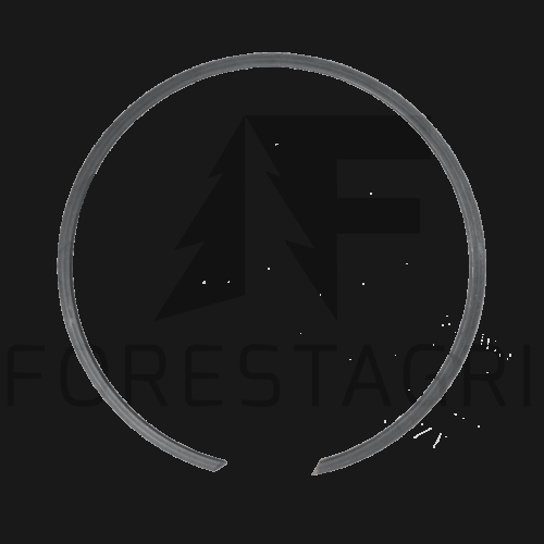 PIERSCIEN.png