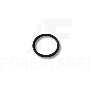 O-ring - F003761 T78313 (atsarginė dalis)