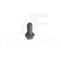 śruba, bolt, Schraube, varžtas, šroub - F021647