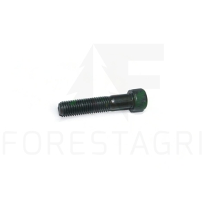 Varžtas - F070829 (atsarginė dalis)