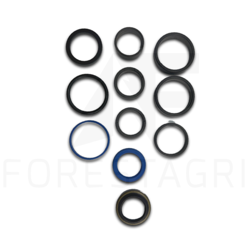 Zestaw uszczelnień, Sandariklių rinkinys, Sada těsnění, Dichtungssatz , Seal kit, F069028