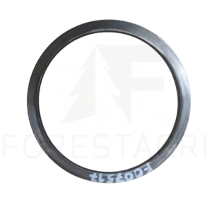 Naudotas atstumas – F007517