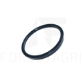 Pierścień zgarniający, Valymo žiedas, Stírací kroužek, Abstreifring, Wiper ring, F070144