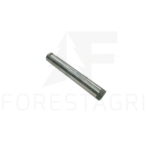 Sworzeń - F047657