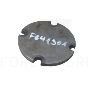 Naudotas dangalis - F641901