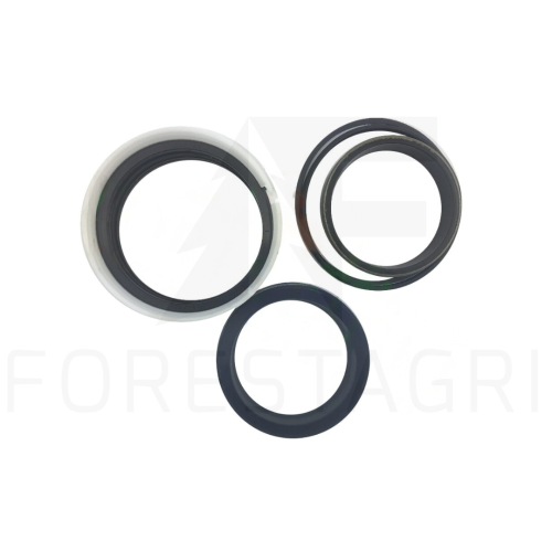 Zestaw uszczelnień, Seal kit, Dichtungssatz, Sada těsnění, Sandarinimo rinkinys - F060108