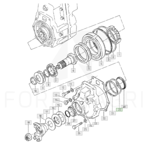 Tarpas - F025315